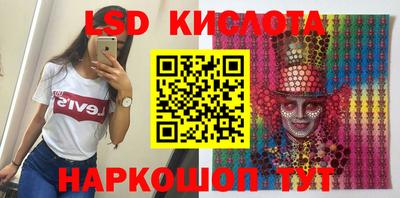 стаф Берёзовский
