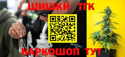 стаф Берёзовский