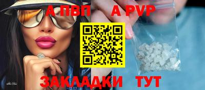 стаф Берёзовский