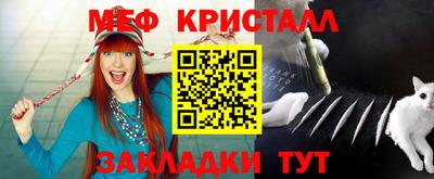 стаф Берёзовский