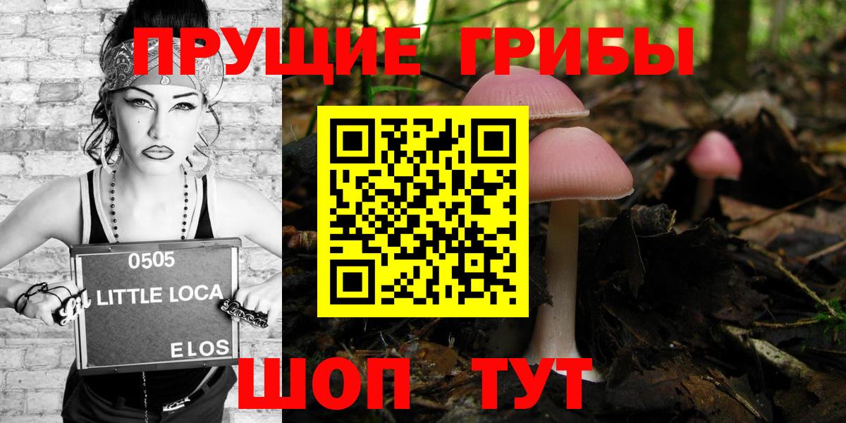Галлюциногенные грибы ЛСД Кисловодск