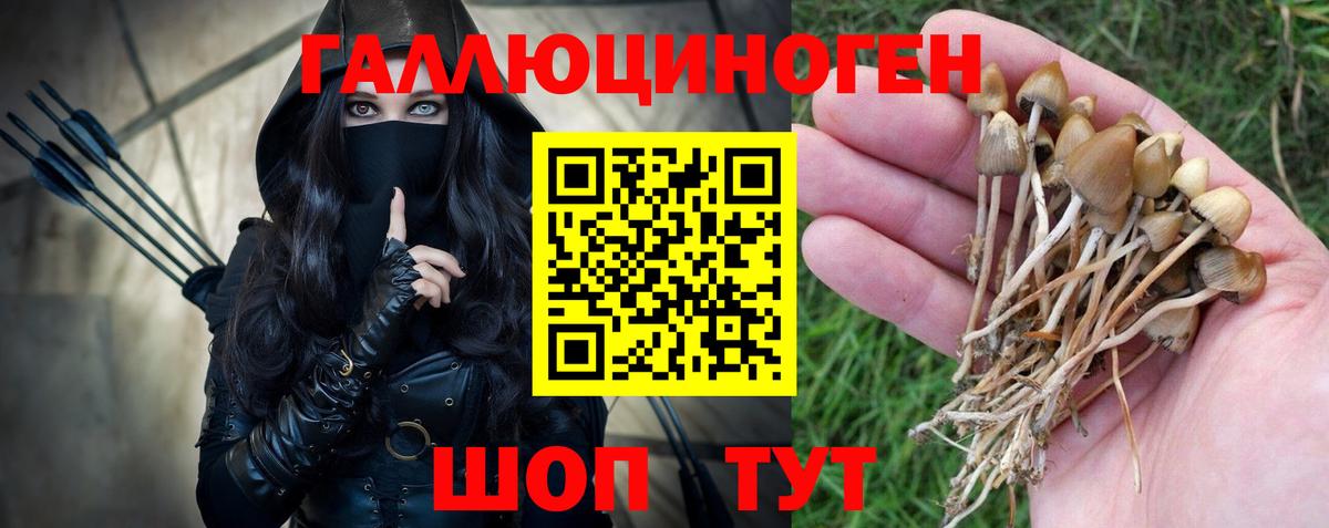 Галлюциногенные грибы MAGIC MUSHROOMS  Вход с VPN  где найти наркотики  Кисловодск 